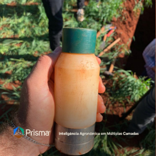 05.08-blogCarbon-market-in-agriculture-01 (2)