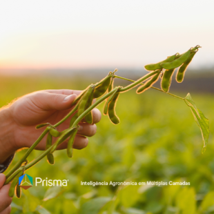 23.01MINI-BANNER-01-02-copy