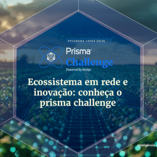 Artigo-Blog---Challengebanner-o1